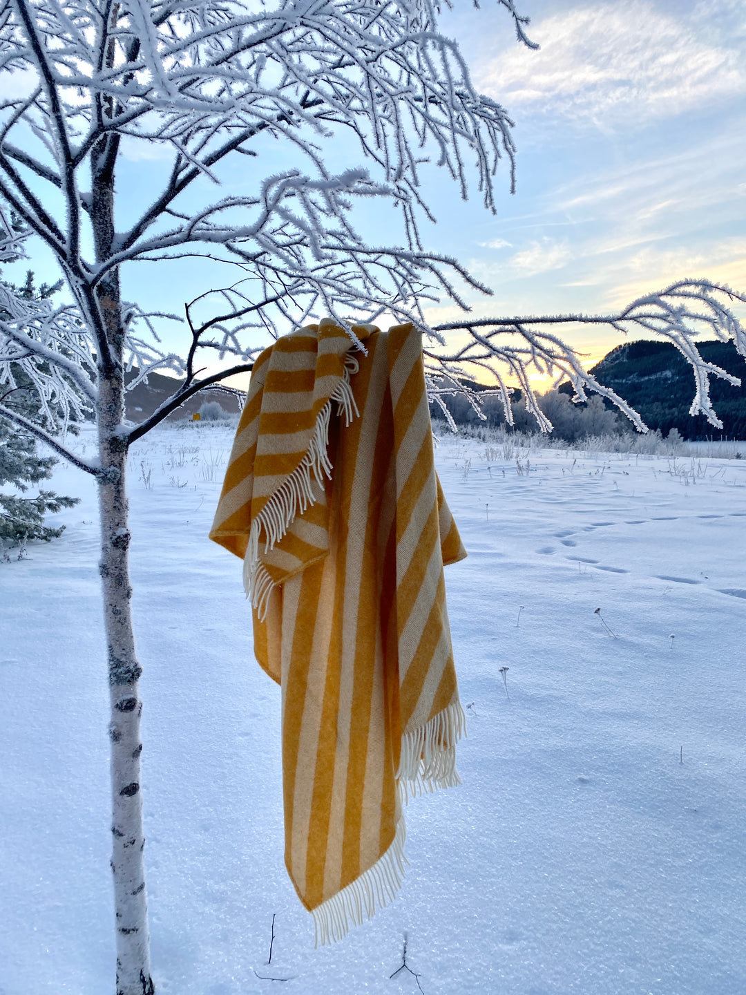 Filip Yellow Lightweight Pure Norwegian Wool Blanket