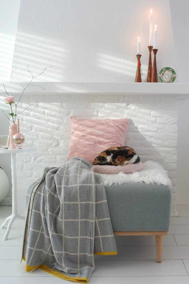 Todden_blanket_grey_cat